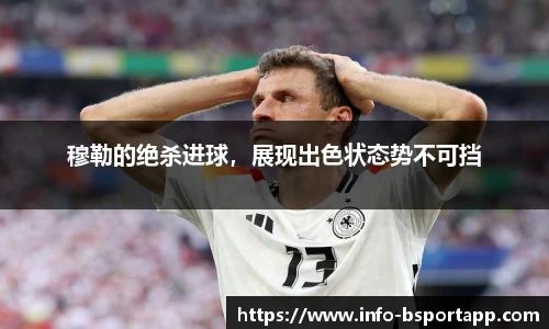 B体育官方网站