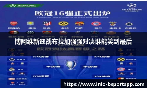 B体育